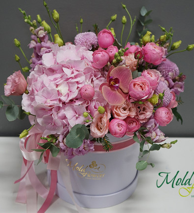 Box with Silvia Pink Roses, Eustoma, and Hydrangea photo 394x433